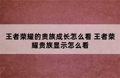 王者荣耀的贵族成长怎么看 王者荣耀贵族显示怎么看